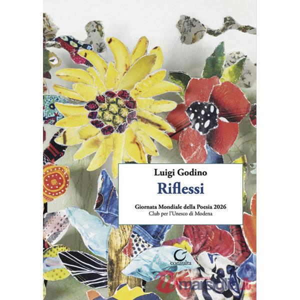 Riflessi. Poesie. Ediz. illustrata