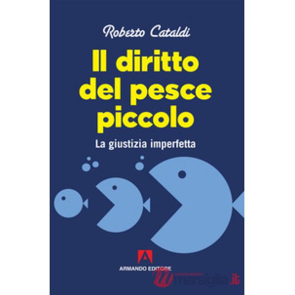 Diritto del pesce piccolo. La giustizia imperfetta (Il)
