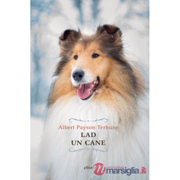 Lad. Un cane