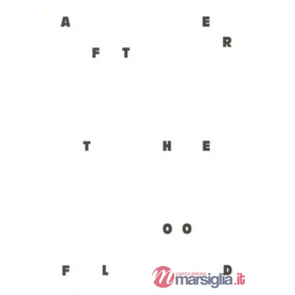 After the Flood. Images for disaster risk reduction. Ediz. italiana e inglese