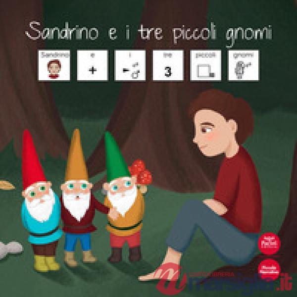 Sandrino e i tre piccoli gnomi. Ediz. CAA