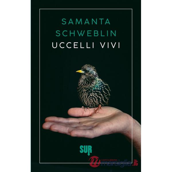 Uccelli vivi