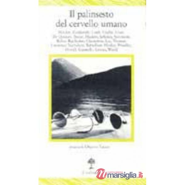 Palinsesto del cervello umano (Il)