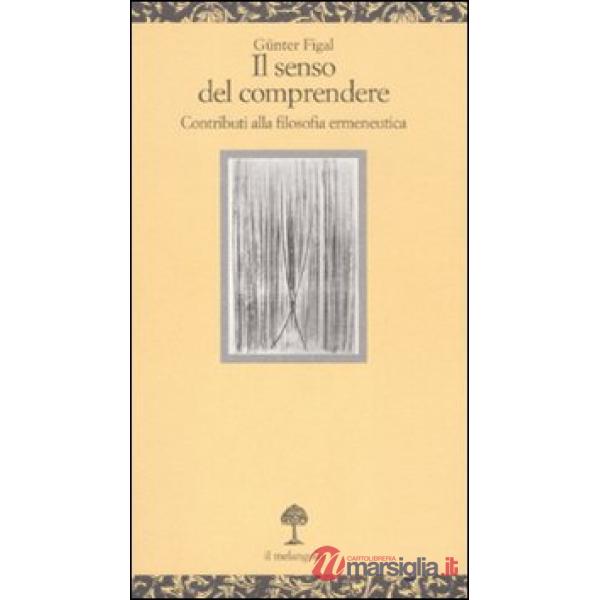 Senso del comprendere. Contributi alla filosofia ermeneutica (Il)