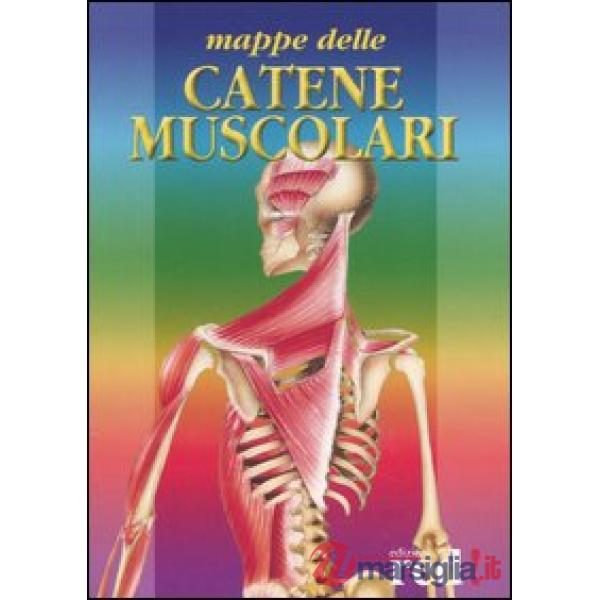 Mappe delle catene muscolari. Per osteopati, massaggiatori, medici. Ediz. illustrata