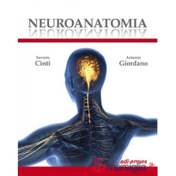 Neuroanatomia