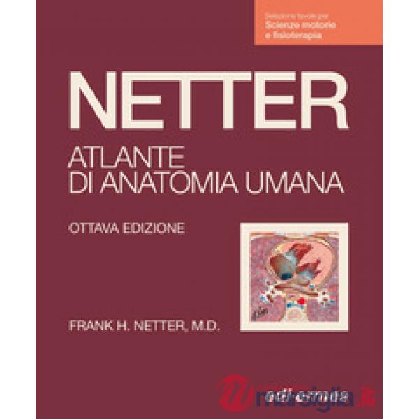 Netter. Atlante anatomia umana. Scienze motorie e fisioterapia
