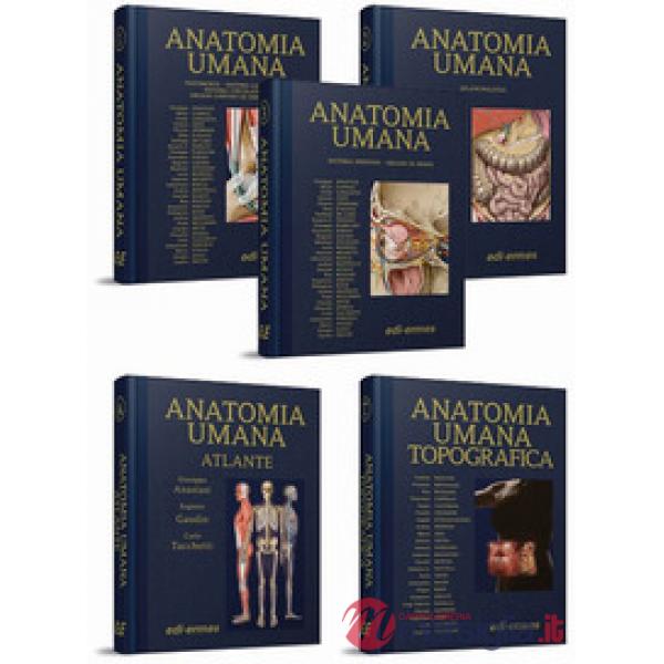 Anatomia umana. Il Trattato e l'Atlante