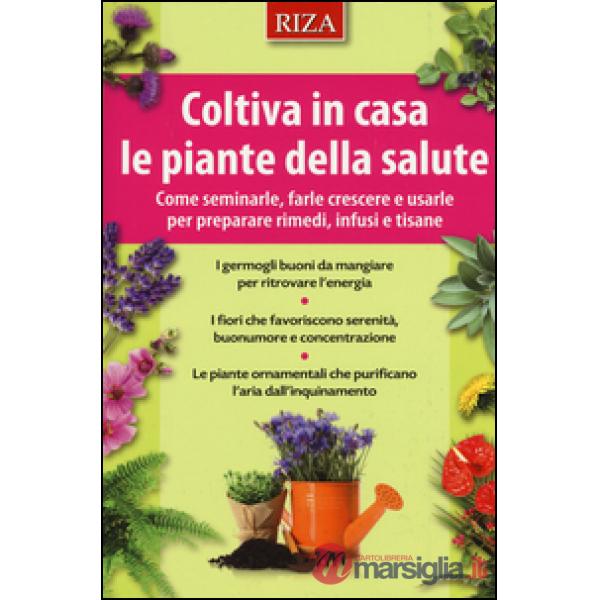 Coltiva in casa le piante dalla salute. Come seminarle, farle crescere e usarle per preparare rimedi, infusi e tisane