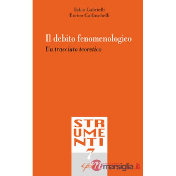 Debito fenomenologico. Un tracciato teoretico (Il)