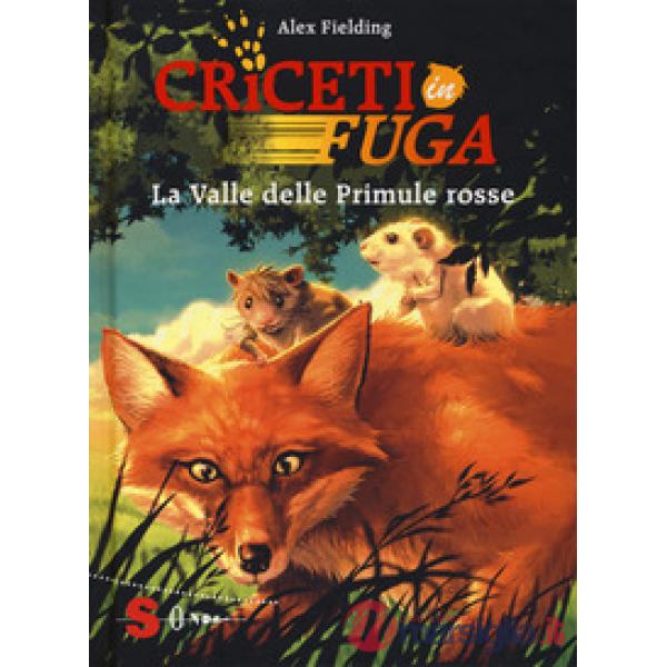Valle delle primule rosse. Criceti in fuga. Ediz. illustrata (La). Vol. 1
