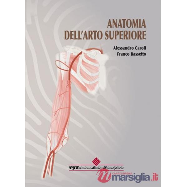 Anatomia dell'arto superiore