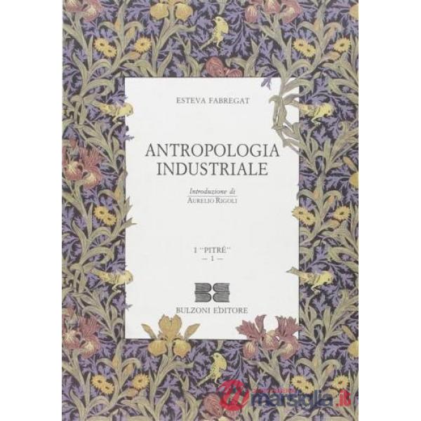 Antropologia industriale