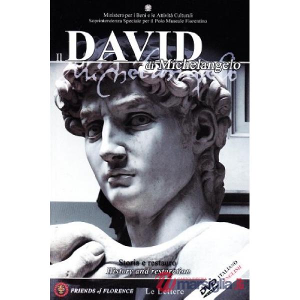 David di Michelangelo. Storia e restauro (Il)