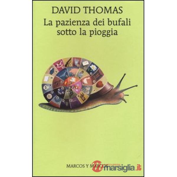 Pazienza dei bufali sotto la pioggia (La)