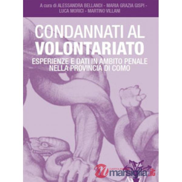 Condannati al volontariato. Esperienze e dati in ambito penale nella provincia di Como