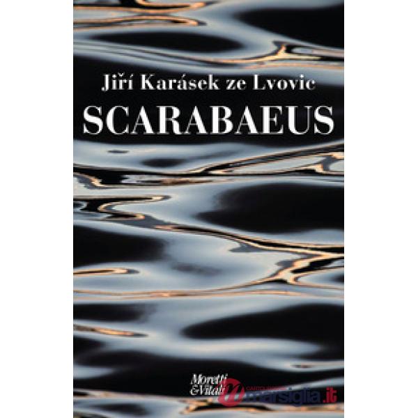 Scarabaeus