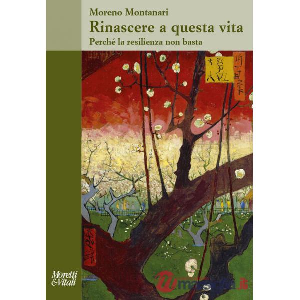 Rinascere a questa vita. Perché la resilienza non basta