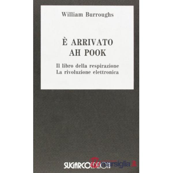 E' arrivato Ah Pook