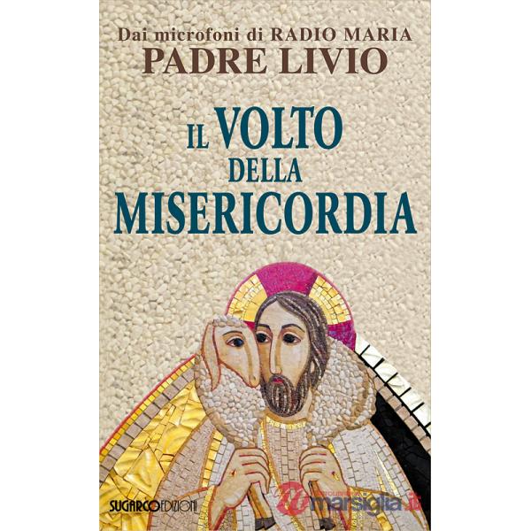 Volto della misericordia (Il)