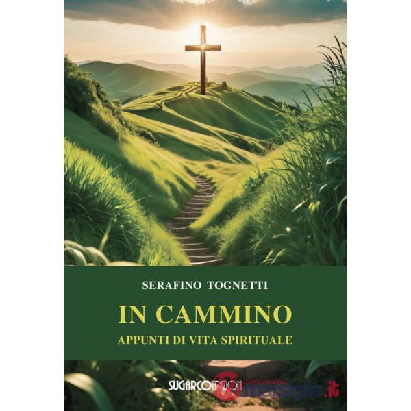 In cammino. Appunti di vita spirituale