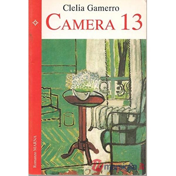 Camera 13