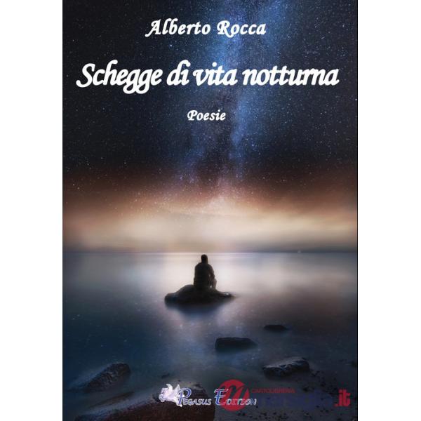 Schegge di vita notturna