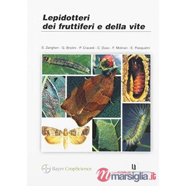 Lepidotteri dei fruttiferi e della vite