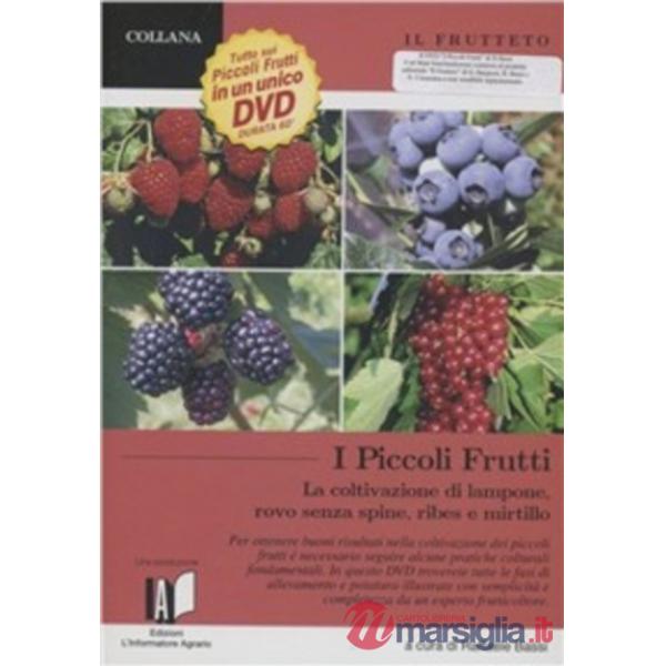 Frutteto. I piccoli frutti: lampone, ribes, mirtillo, rovo. Piccola guida pratica. Con DVD (Il)
