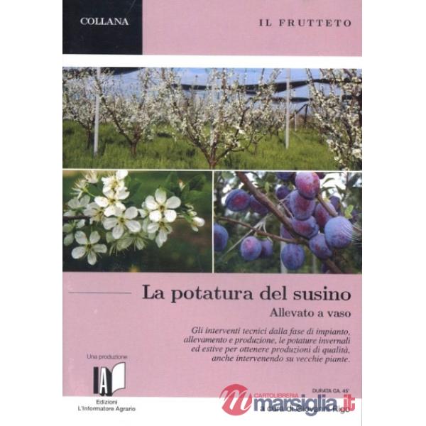 Frutteto. La potatura del susino allevato a vaso. Piccola guida pratica. Con DVD (Il)