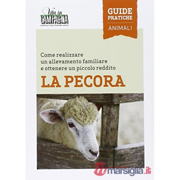 Pecora. Come realizzare un allevamento familiare e ottenere un piccolo reddito (La)