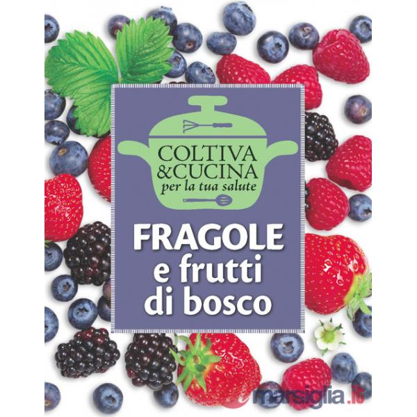 Fragole e frutti di bosco