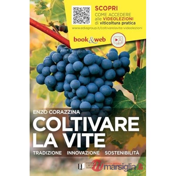 Coltivare la vite. Tradizione, innovazione, sostenibilità