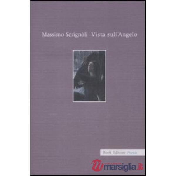 Vista sull'angelo. Racconto in versi