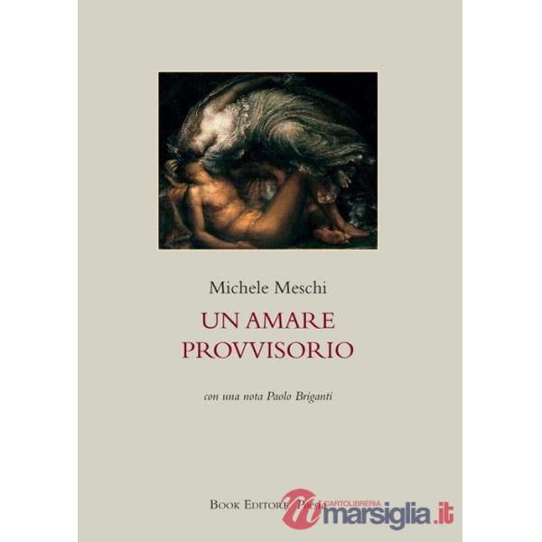 Amare provvisorio (Un)