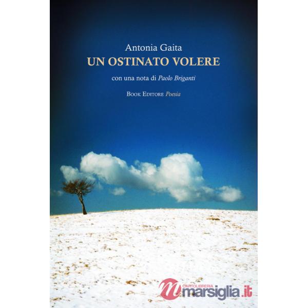 Ostinato volere (Un)