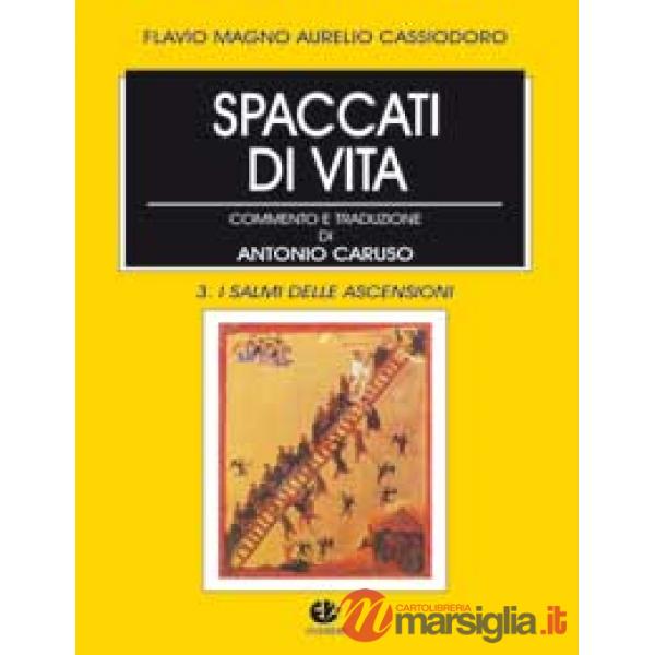 Spaccati di vita. Vol. 3: I salmi delle ascensioni