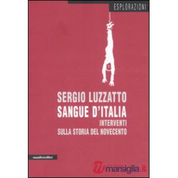 Sangue d'Italia. Interventi sulla storia del Novecento