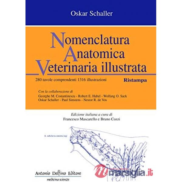 Nomenclatura anatomica veterinaria illustrata
