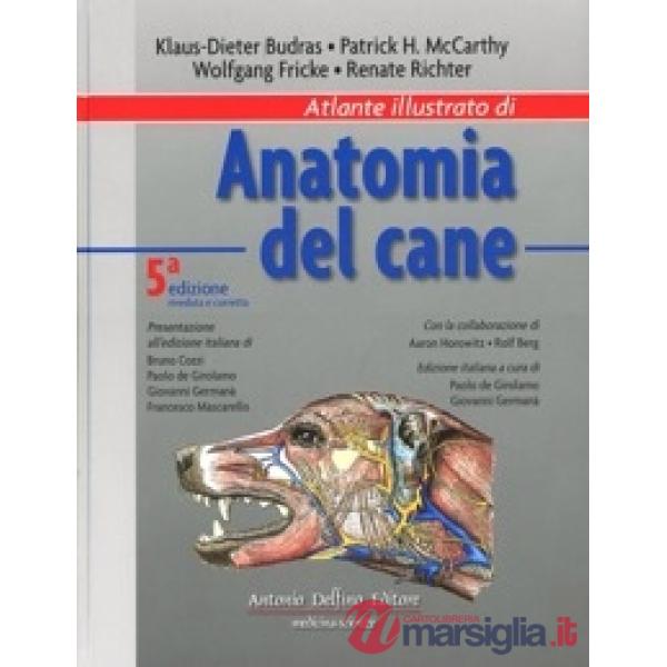 Atlante illustrato di anatomia del cane