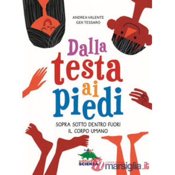 Dalla testa ai piedi. Sopra sotto dentro fuori il corpo umano