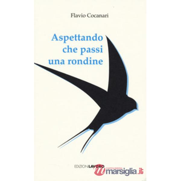 Aspettando che passi una rondine