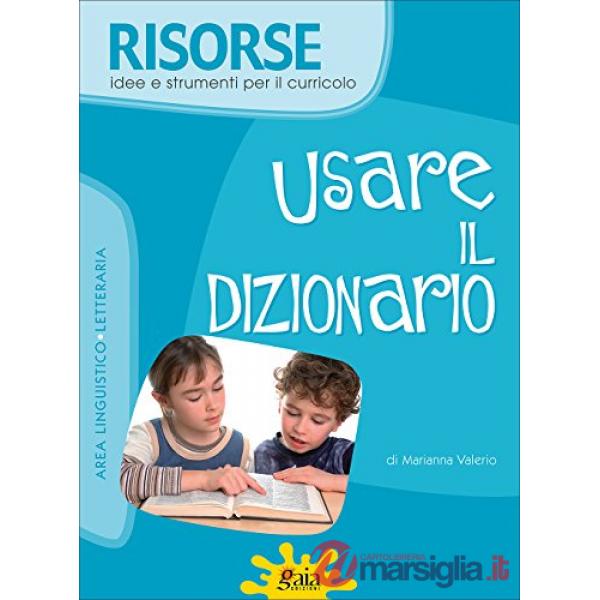RISORSE USARE IL DIZIONARIO