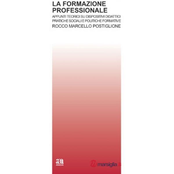 Formazione professionale. Appunti teorici su dispositivi didattici, pratiche sociali e politiche formative (La)