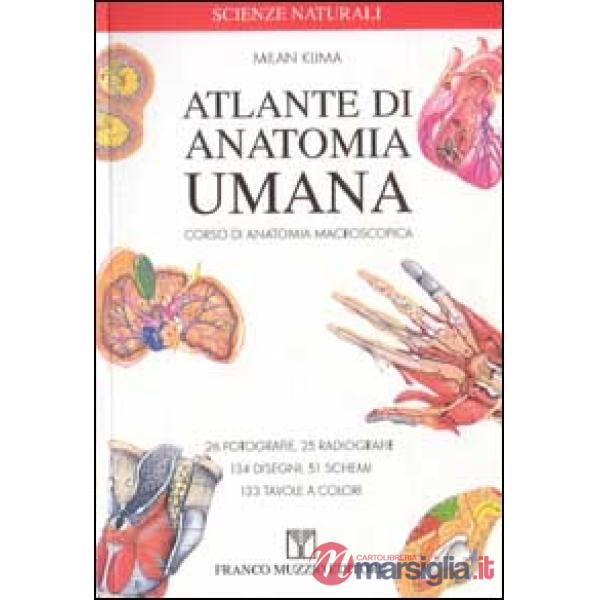 Atlante di anatomia umana. Corsi di anatomia macroscopica