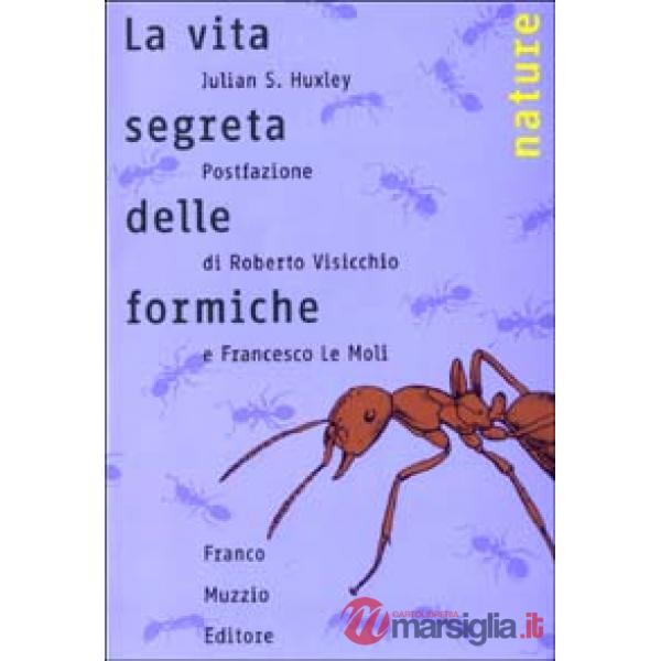 Vita segreta delle formiche (La)
