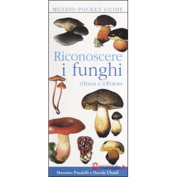 Riconoscere i funghi d'Italia e d'Europa