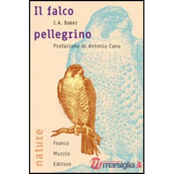 Falco pellegrino (Il)