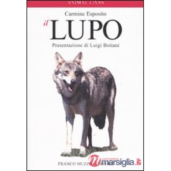 Lupo. Ediz. illustrata (Il)