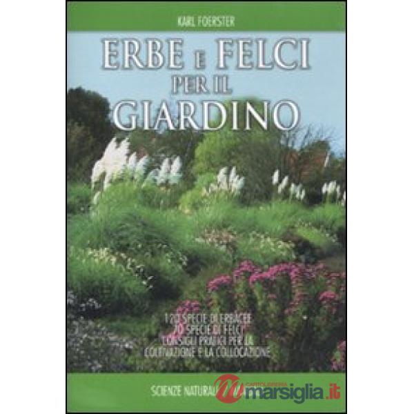 Erbe e felci per il giardino